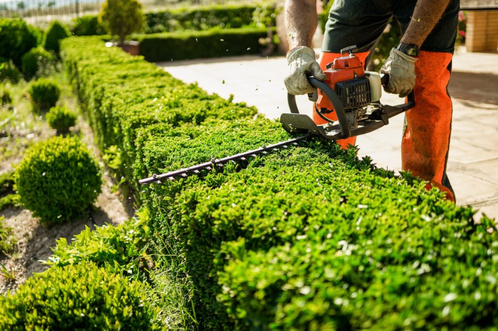 trimming bushes